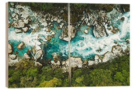 Holzbild Fiordland, Neuseeland