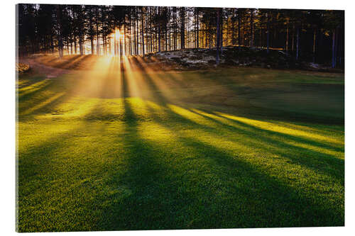 Akrylbilde Rays of sun in the fog