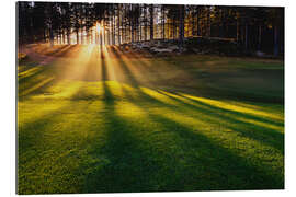 Galleritryk Rays of sun in the fog