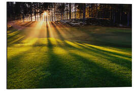 Magnettafel Sonnenstrahlen im Nebel