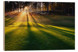 Print på træ Rays of sun in the fog