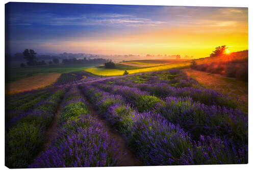 Canvas print Sunrise on the lavender field