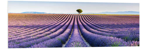 Foam board print Tree in the distance, Provence