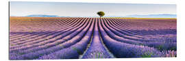 Gallery print Tree in the distance, Provence