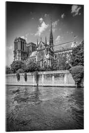 Acrylic print South facade of the Cathedral Notre-Dame