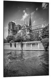 Cuadro de aluminio Fachada sur de la catedral de Notre Dame