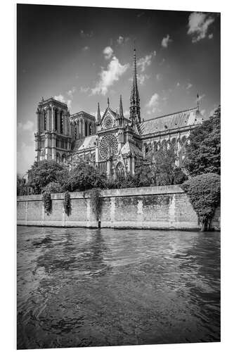 Obraz na PCV South facade of the Cathedral Notre-Dame