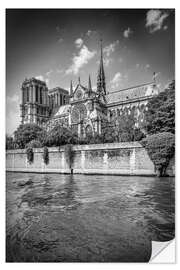 Muursticker South facade of the Cathedral Notre-Dame