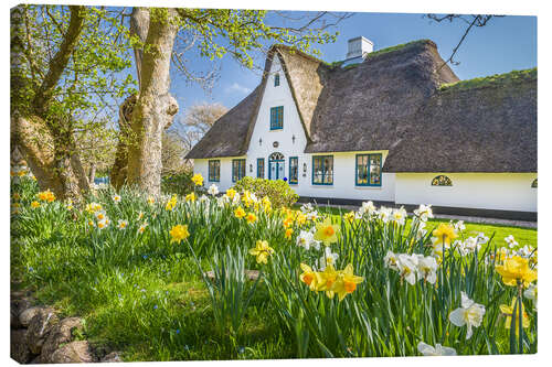 Canvas print Friesenhaus in spring, Sylt