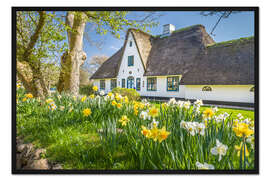 Gerahmter Kunstdruck Friesenhaus im Frühling, Sylt