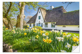 Wall sticker Friesenhaus in spring, Sylt