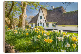 Wood print Friesenhaus in spring, Sylt