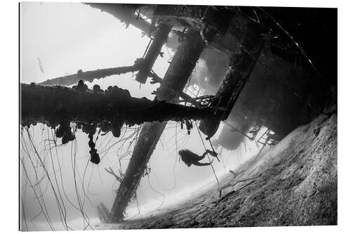 Galleriataulu Under The Shipwreck