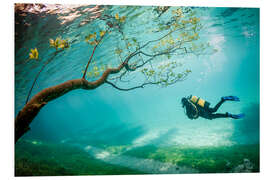 Foam board print Diver In Magic Kingdom