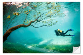 Wall sticker Diver In Magic Kingdom