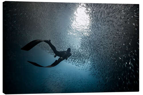 Canvas print Swallow's Cave