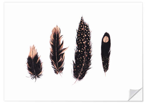 Wall sticker Ink and rose gold feathers