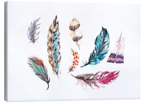 Canvas print Rainbow feathers