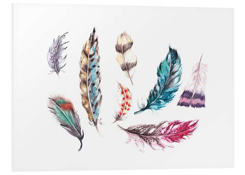 Foam board print Rainbow feathers