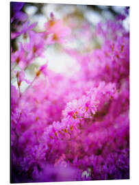 Magnettafel Blühender Rhododendron