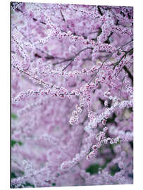 Magnettafel Blütenzauber