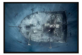 Gerahmter Kunstdruck Stadt der Haie