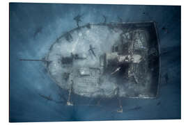 Magnettafel Stadt der Haie