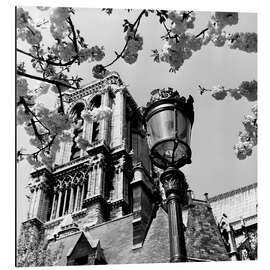 Aluminium print A Parisian street lamp in front of Notre Dame