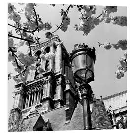 PVC-tavla A Parisian lantern in front of Notre Dame