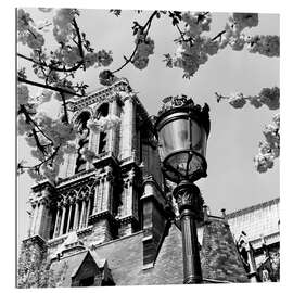 Gallery print A Parisian street lamp in front of Notre Dame