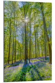 Aluminium print Blue Flowers Forest III