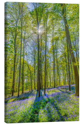 Canvastavla Blue Flowers Forest III