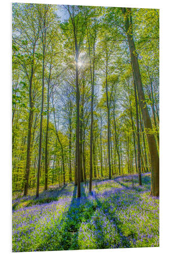 Foam board print Blue Flowers Forest III