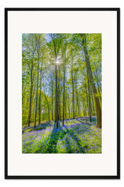 Gerahmter Kunstdruck Wald der Blauen Blumen III