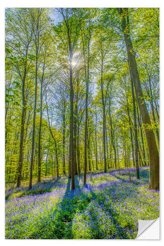 Naklejka na ścianę Blue Flowers Forest III