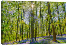 Canvas print Blue Flowers Forest II