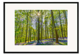 Gerahmter Kunstdruck Wald der Blauen Blumen II