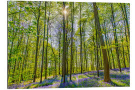 Gallery print Blue Flowers Forest II