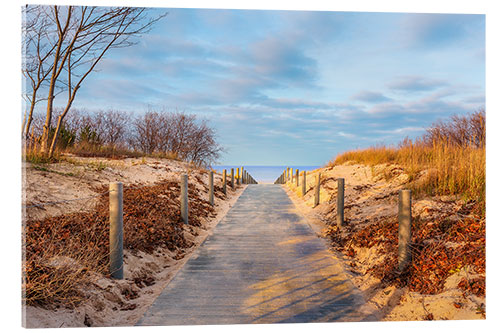 Acrylglasbild Strandweg auf Usedom