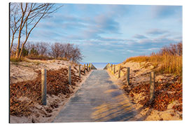 Aluminium print Beach path on Usedom