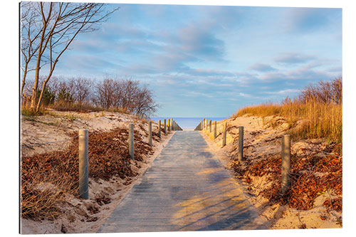 Gallery print Beach path on Usedom