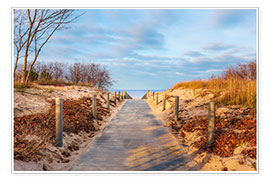Poster  Beach path on Usedom - Reemt Peters-Hein