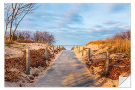 Selvklebende plakat Beach path on Usedom