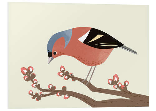 Foam board print Chaffinch