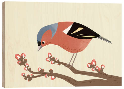 Wood print Chaffinch
