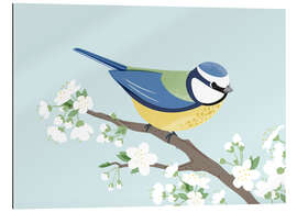 Gallery print Bluetit