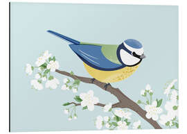 Magnettafel Blaumeise