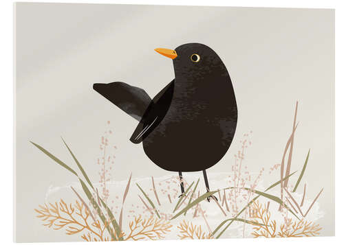 Akrylglastavla Blackbird