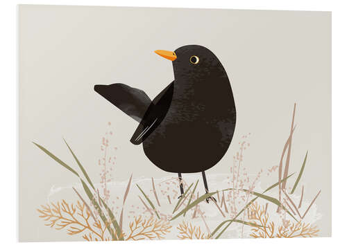 Foam board print Blackbird