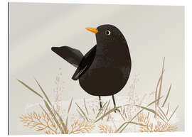 Gallery print Blackbird